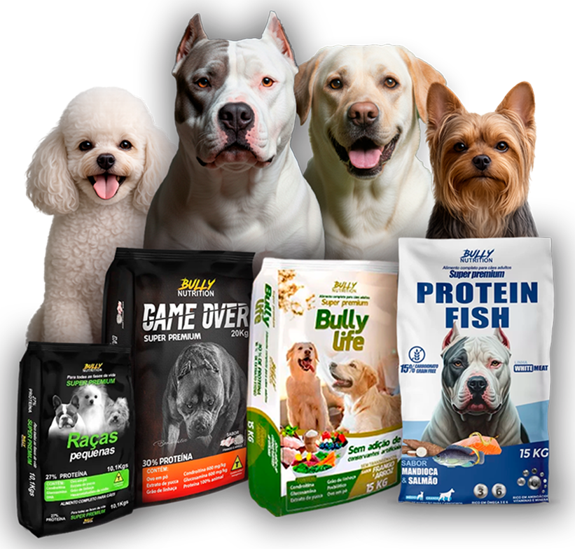 American Bully e Pitbull alimentados com ração Bully Nutrition Super Premium